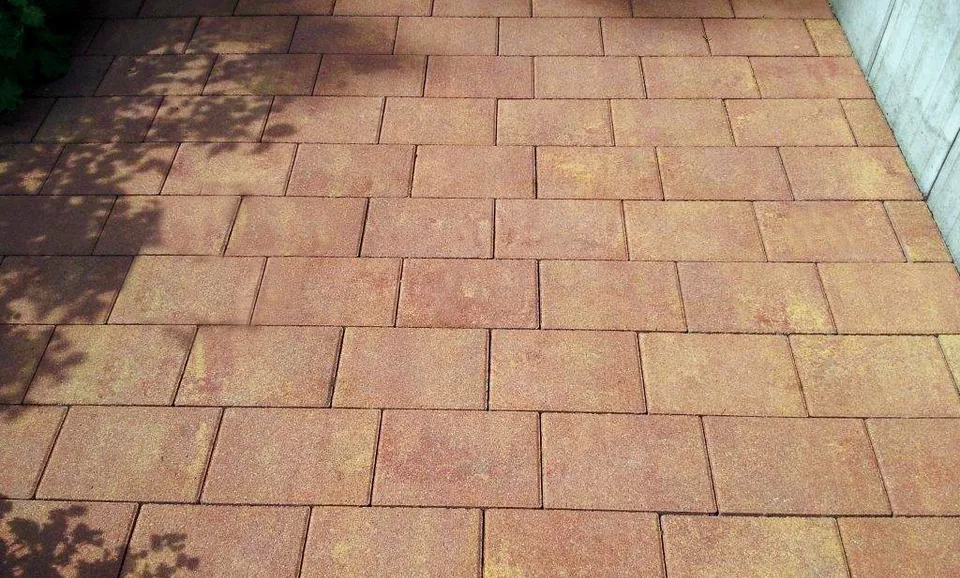 bachl-herbstlaub-einfassung-stufe-beton-garten image 1